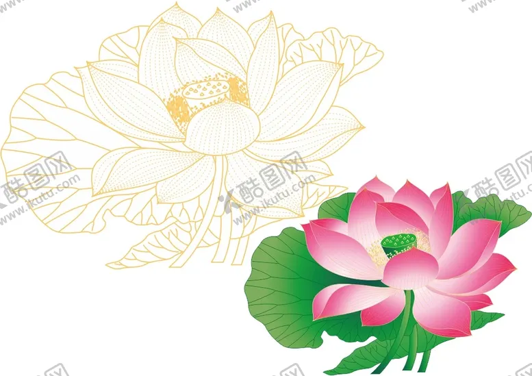 编号：48310610300340085692【酷图网】源文件下载-荷花
