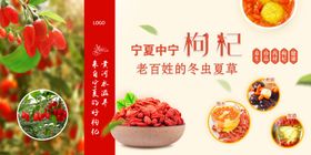 枸杞挂图批发树