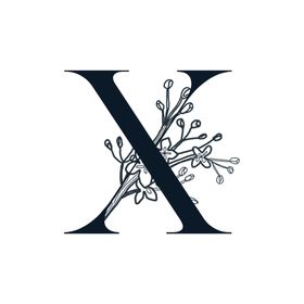字母X
