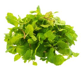 薄荷植物元素