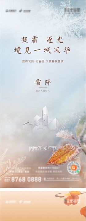 霜降海报二十四节气地产树叶