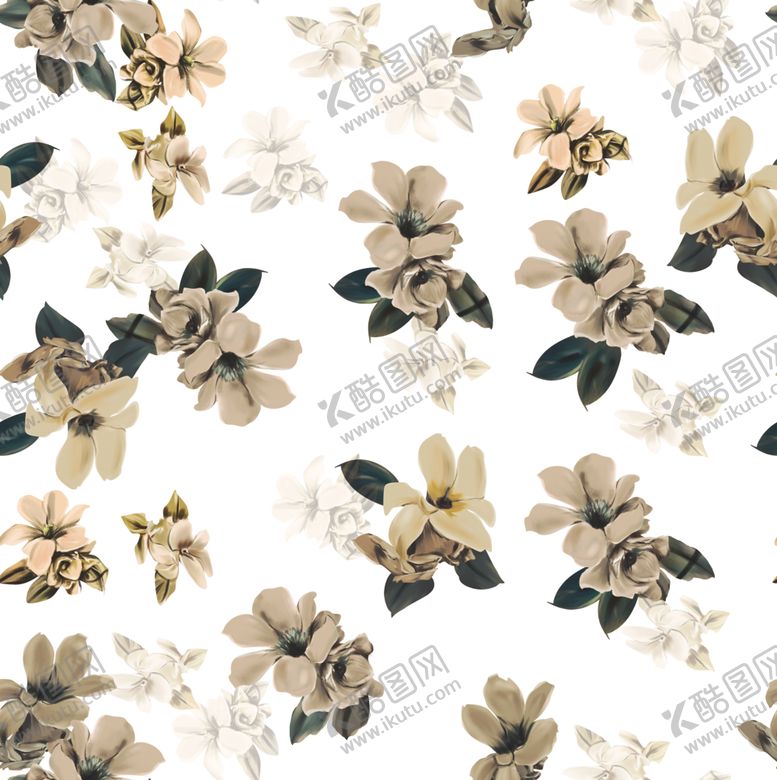 编号：62901409222047216781【酷图网】源文件下载-玉兰花