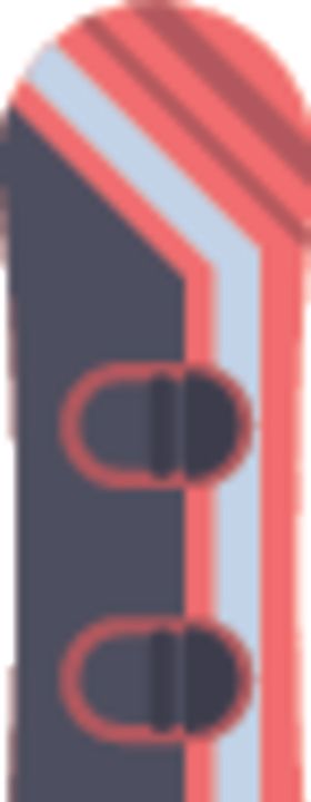 滑板
