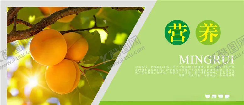 编号：12769106260252383627【酷图网】源文件下载-水果海报