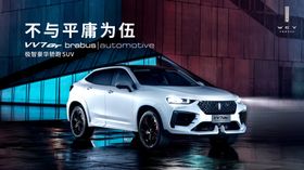 魏VV7