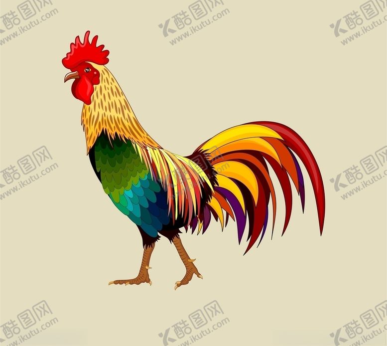编号：63232009290536101247【酷图网】源文件下载-矢量公鸡