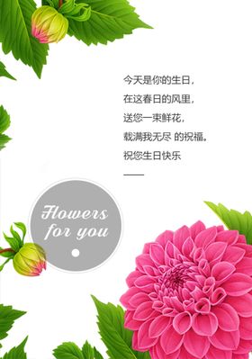 鲜花祝福