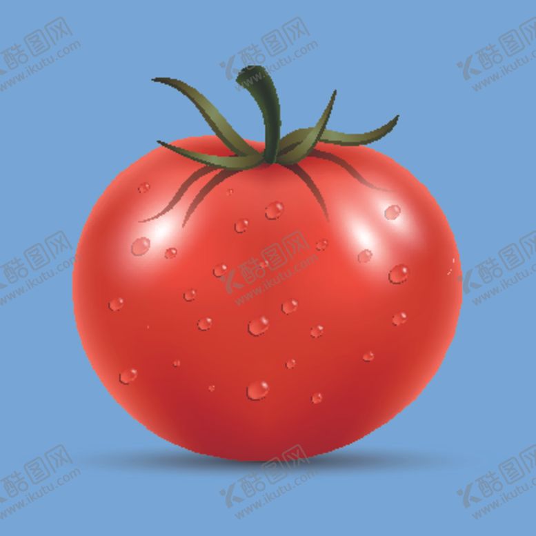 编号：60509911012113329541【酷图网】源文件下载-矢量西红柿番茄蔬菜高清果蔬素材