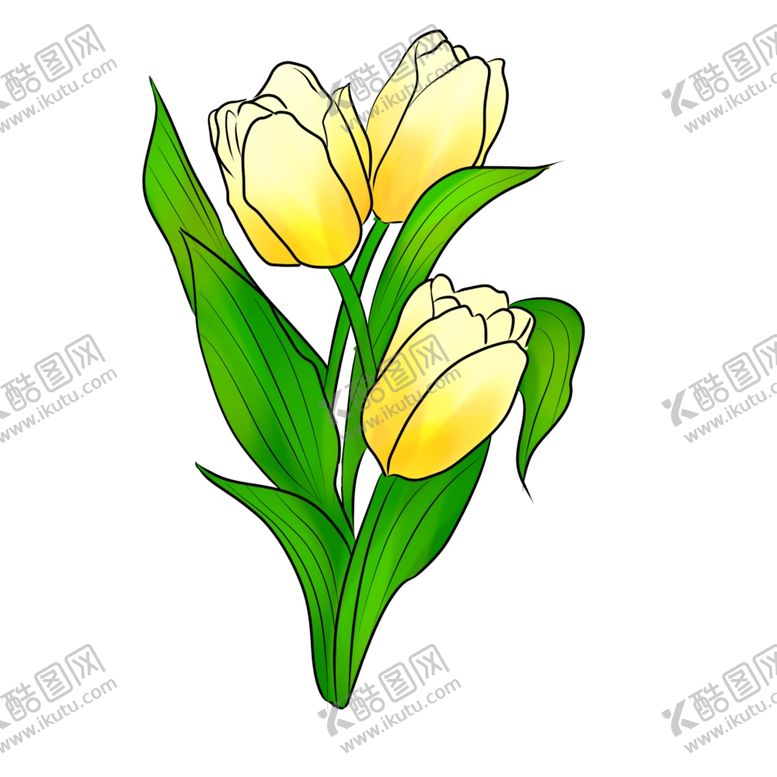编号：10810009240651077425【酷图网】源文件下载-手绘郁金香