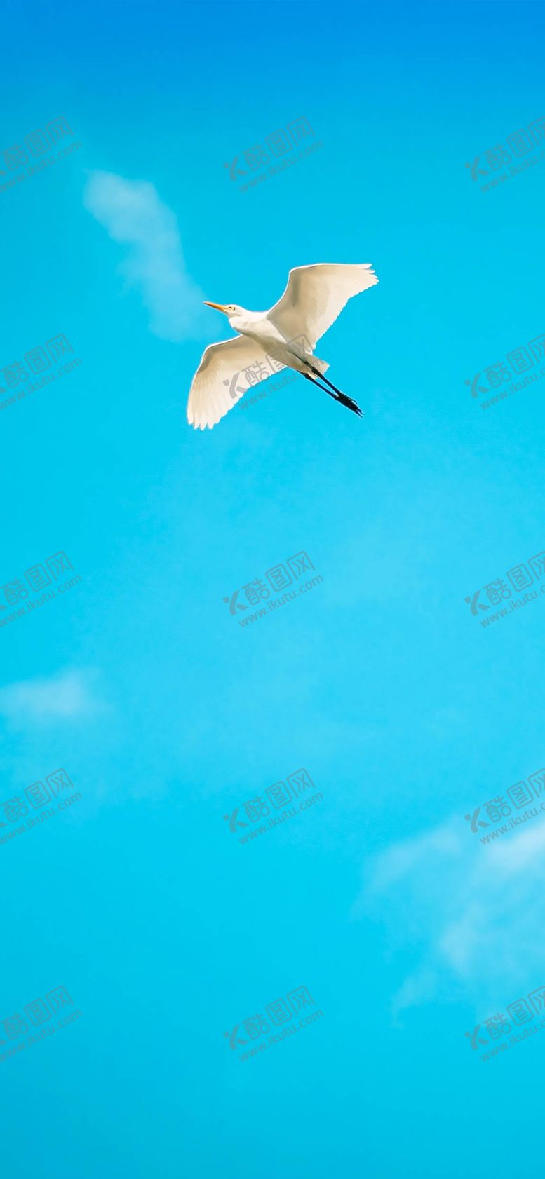 编号：77097906180022559366【酷图网】源文件下载-手机壁纸