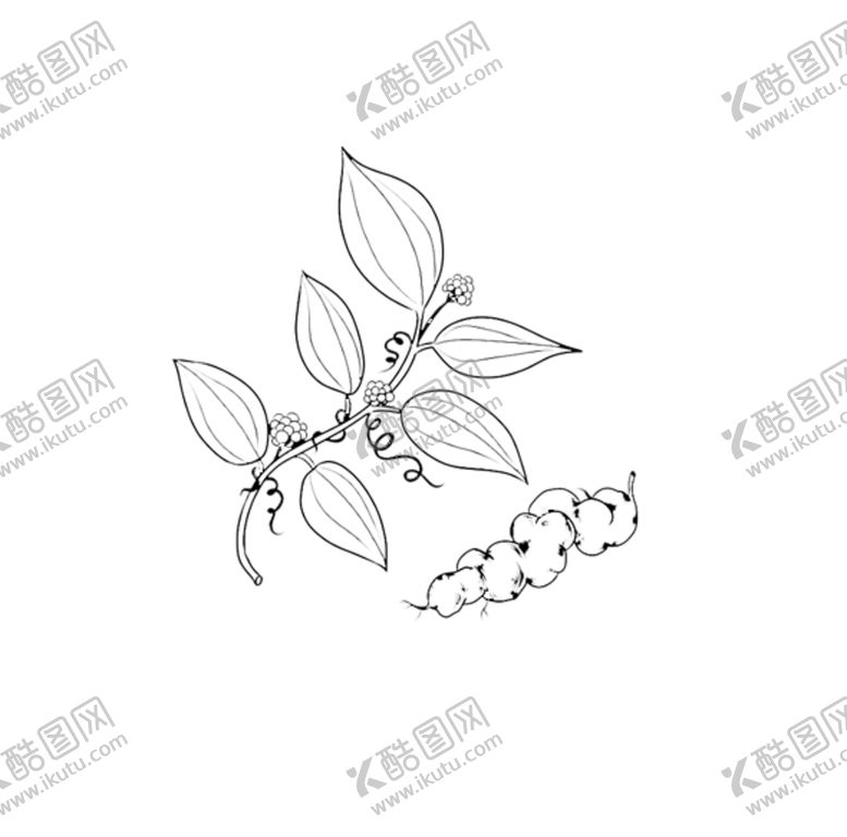 编号：16923406290421222440【酷图网】源文件下载-土茯苓