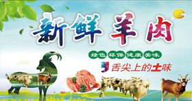 新鲜羊肉