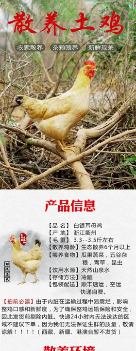 白切土鸡