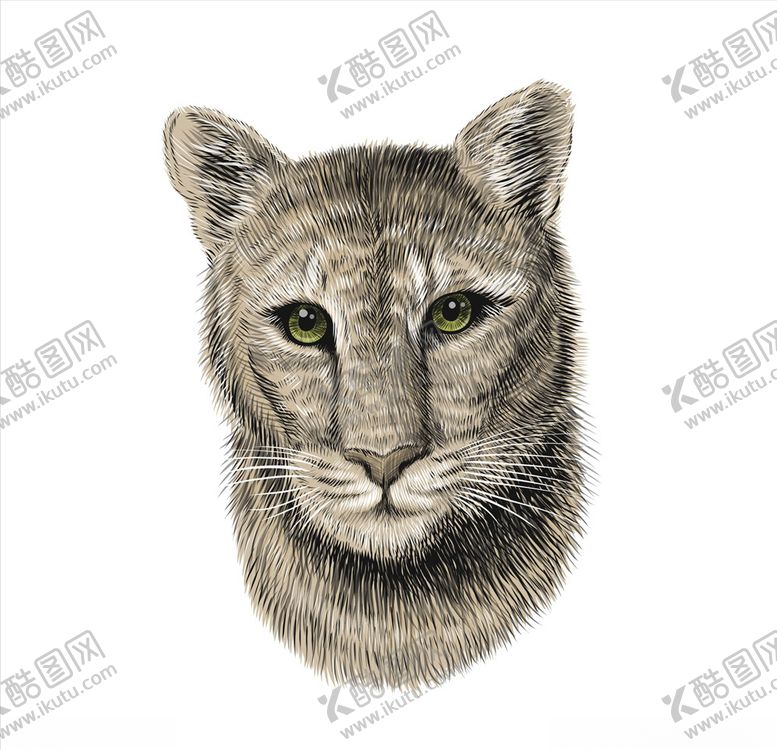 编号：47326610042242337800【酷图网】源文件下载-老虎头像