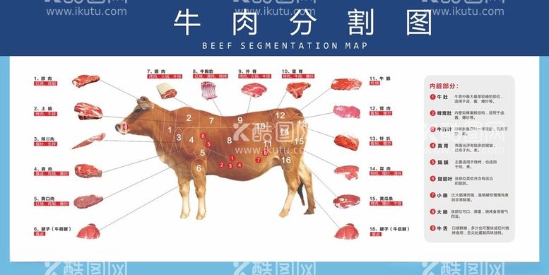 编号：61975512041207273987【酷图网】源文件下载-超市牛肉分割灯箱