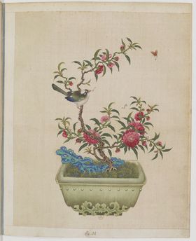 盆景花鸟