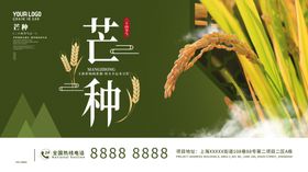 芒种海报