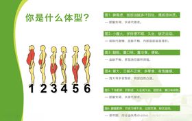 你是什么体型