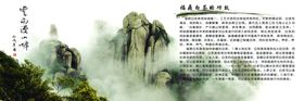 福鼎白茶