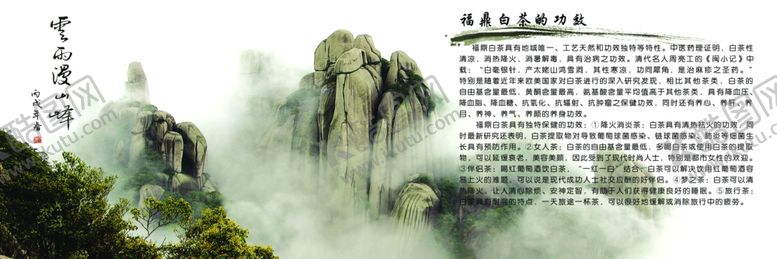 编号：14938409200949447166【酷图网】源文件下载-福鼎白茶