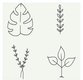 手绘植物
