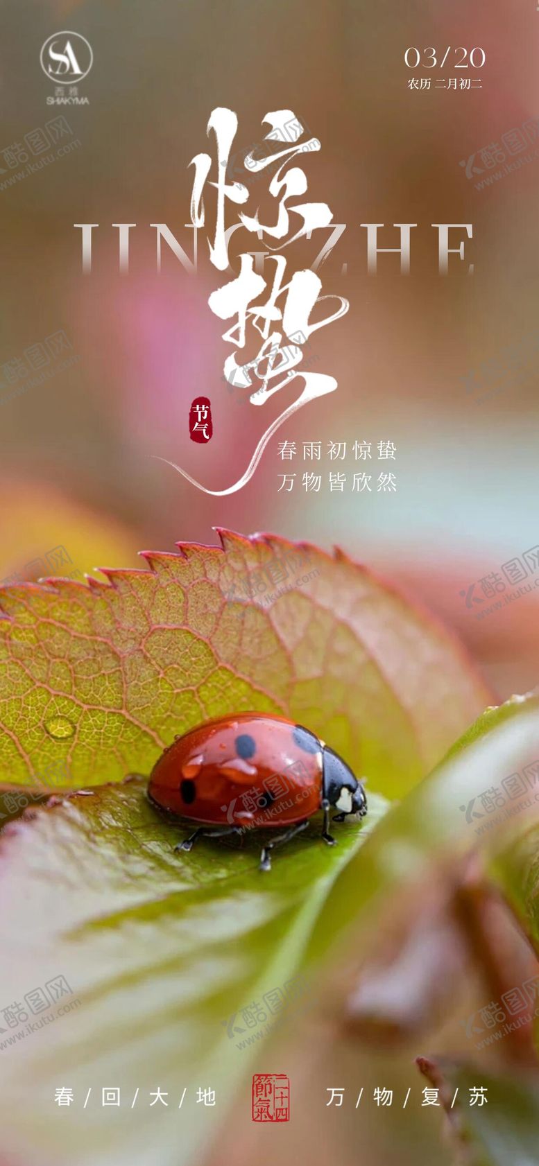 编号：33704803050204483235【酷图网】源文件下载-惊蛰海报