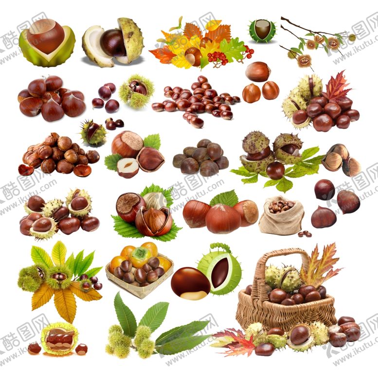 编号：75106609261646269677【酷图网】源文件下载-板栗