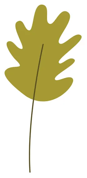 3D花纹手绘花