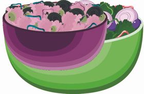 彩色简约色拉图案卡通沙单矢量