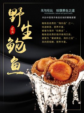 野生鲍鱼