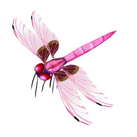蜻蜓