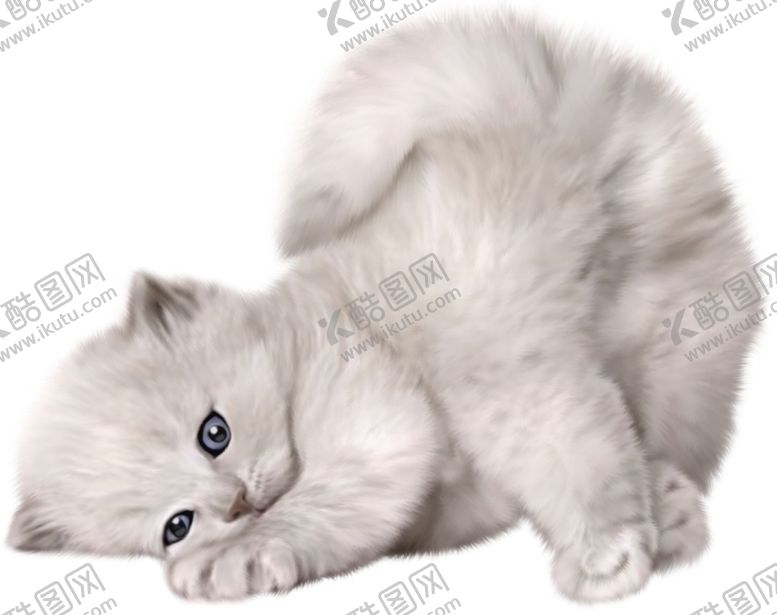 编号：62166906241515198269【酷图网】源文件下载-猫宠物猫宠物小猫猫咪
