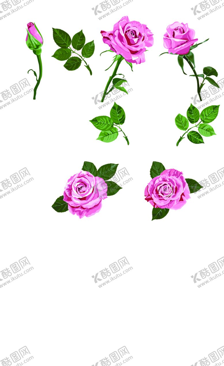 编号：90205510161531053053【酷图网】源文件下载-花 