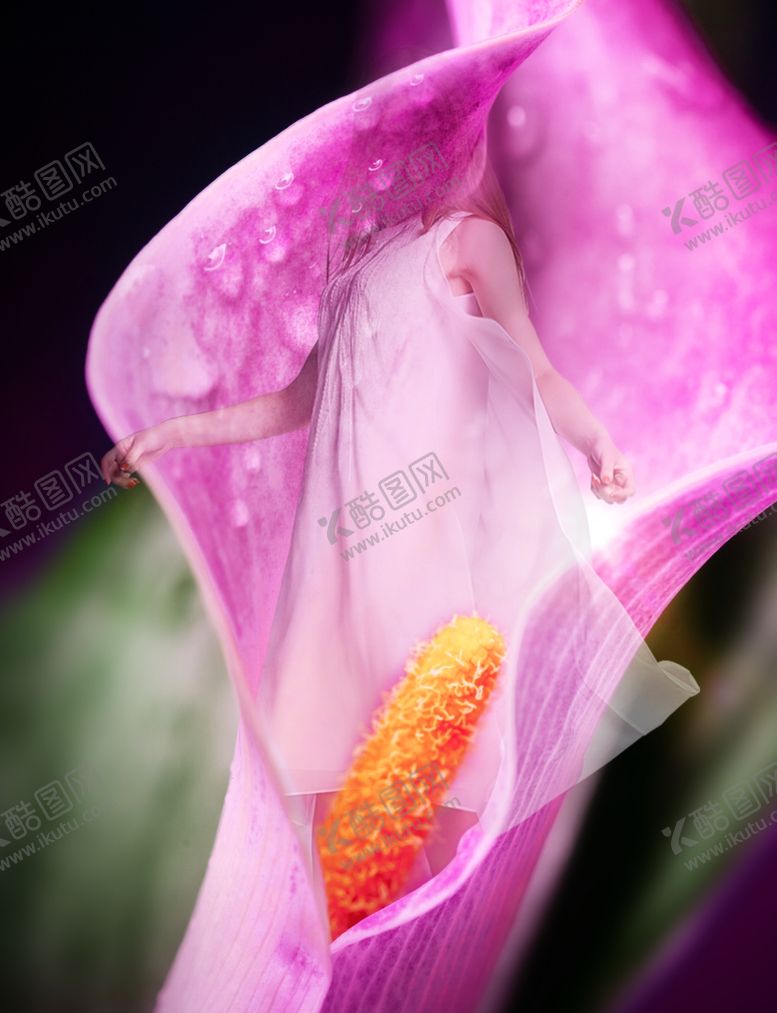 编号：65430005080820492930【酷图网】源文件下载-花芯美女
