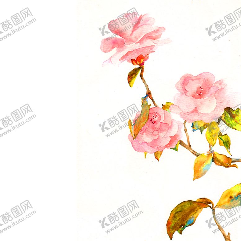 编号：74174206181543289093【酷图网】源文件下载-鲜花装饰