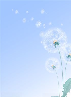 蒲公英背景