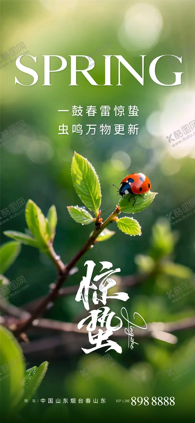 编号：71874803051049372546【酷图网】源文件下载-惊蛰海报