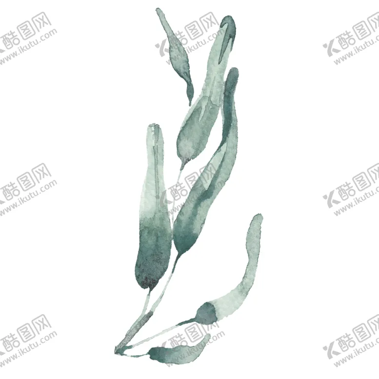 编号：41781706301229156664【酷图网】源文件下载-小清新水彩植物树枝
