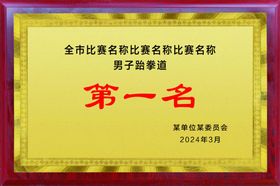 企业比赛第一名荣誉证书