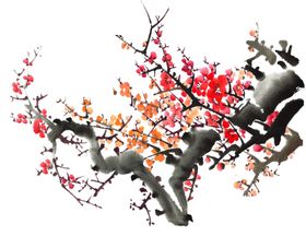 梅花