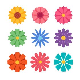 各种花朵手绘束多彩卉插图水彩