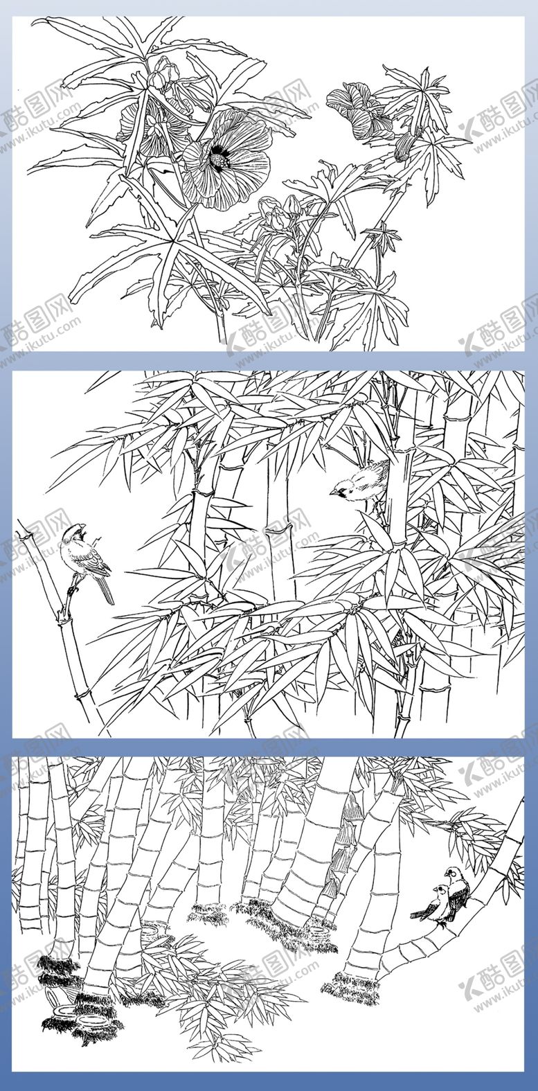 编号：34922511021529042346【酷图网】源文件下载-竹子秋葵白描画稿三幅