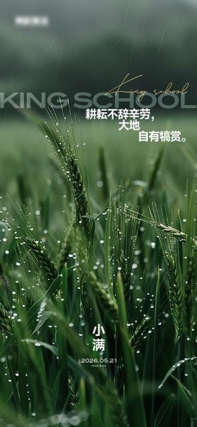 小满节气海报