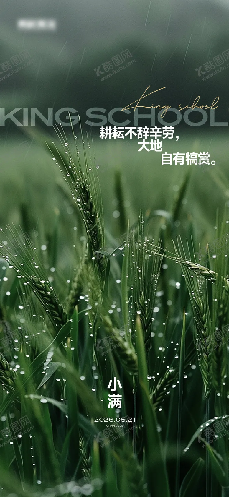 编号：31598305060219114643【酷图网】源文件下载-小满节气海报