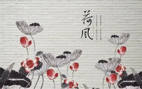 荷花