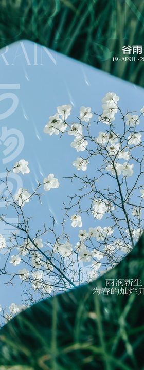 地产质感雨水春分节气海报