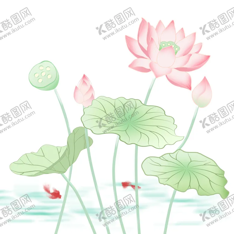 编号：82534109170953120714【酷图网】源文件下载-荷花