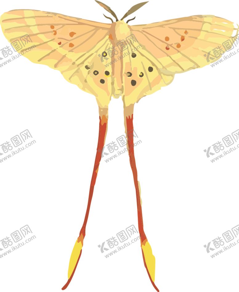 编号：93535810020811405256【酷图网】源文件下载-自然昆虫标本插画