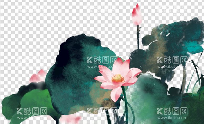 编号：95857811200836139195【酷图网】源文件下载-荷花 莲花