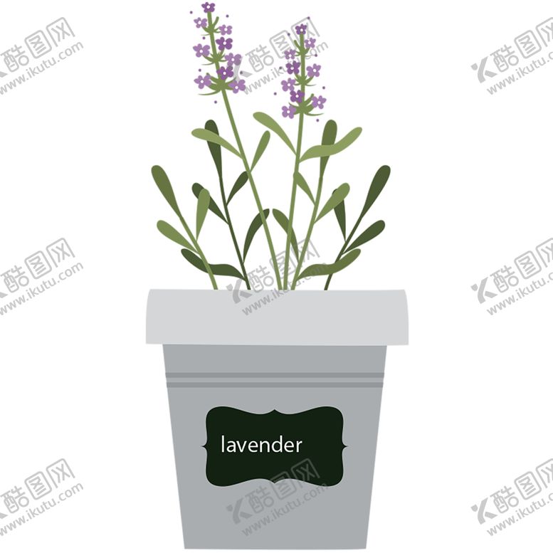 编号：48872710200440438050【酷图网】源文件下载-绿色装饰